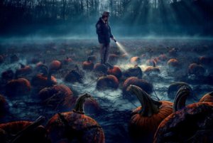 embed-59d121b8d5666